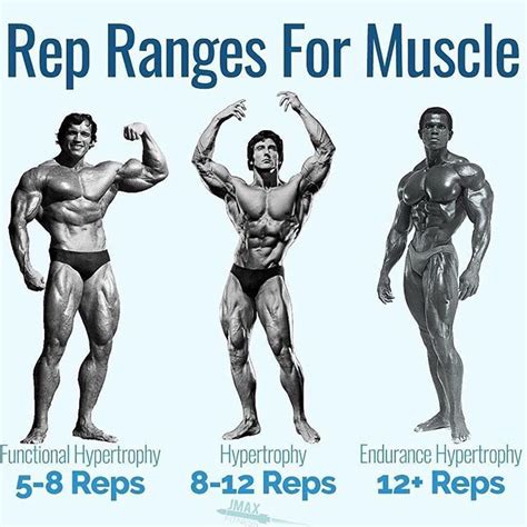are 5 rep sets bad for ectomorphs